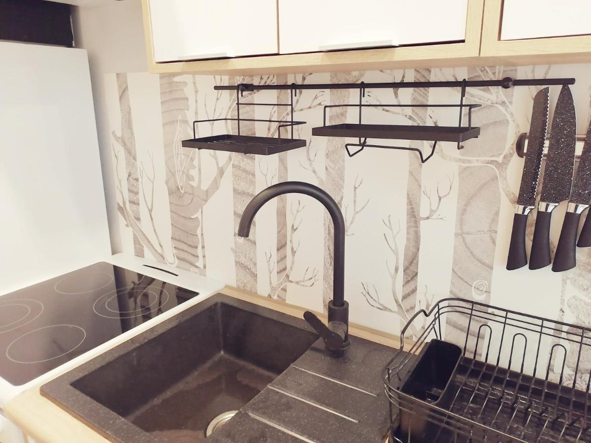 Apartament Mini Piso Domek z Wysposażonym Aneksem Kuchennym oraz Ogrodzonym Parkingiem Bodzanow  Zewnętrze zdjęcie
